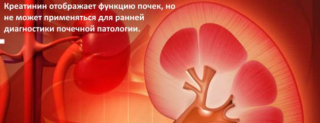 kreatinin-krovi